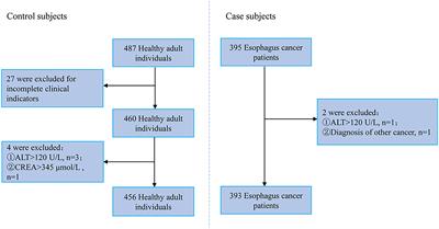 Tryptophan Metabolites as Biomarkers for Esophageal Cancer Susceptibility, Metastasis, and Prognosis